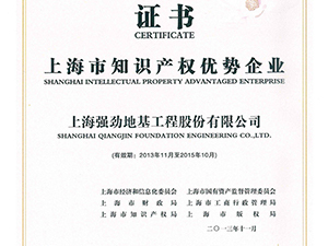 上海市知识产权优势企业